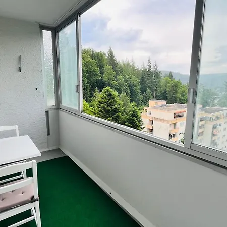 Panorama-perle I 3-zimmer-wohnung Mit Aussicht Lejlighed Bad Herrenalb